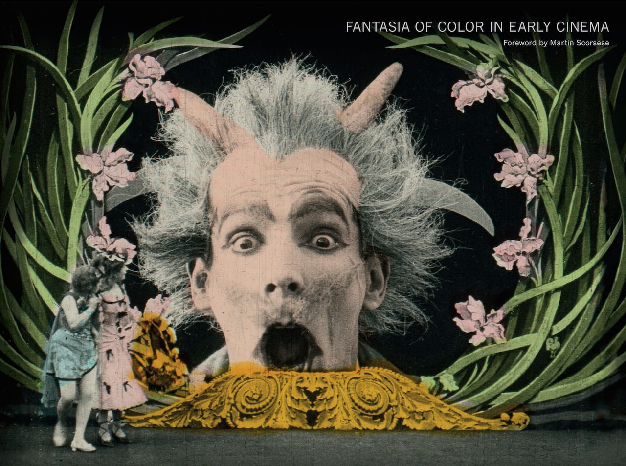 Cover of 'Fantasia of Color in Early Cinema'