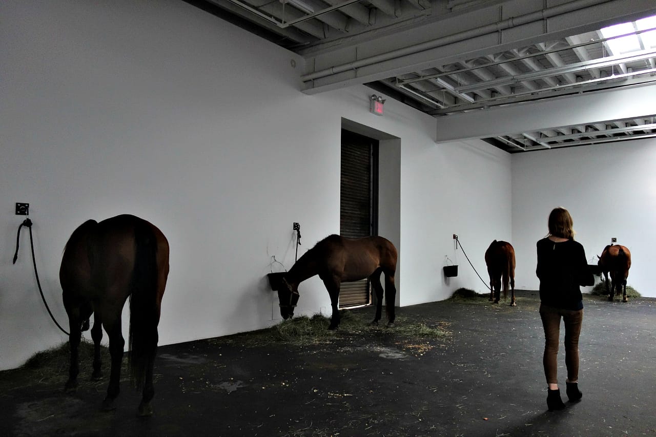 Jannis Kounellis’s “Untitled (12 Horses)" at Gavin Brown's enterprise