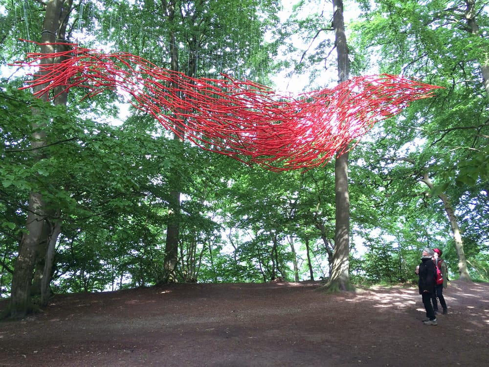 Salah Saouli, "Swarm" (2015)