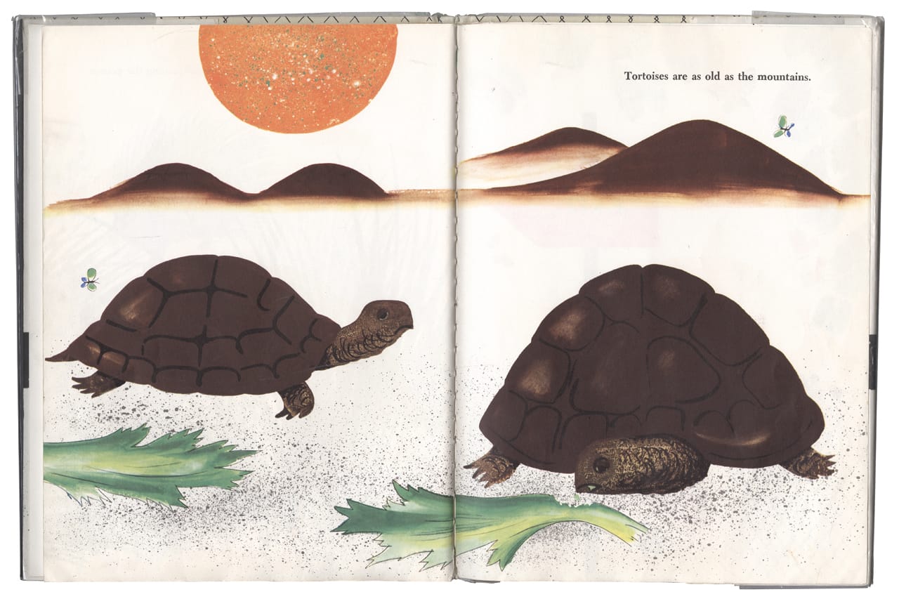 'Bruno Munari’s Zoo' (Mantua: Graziano Peruffo, 1963)