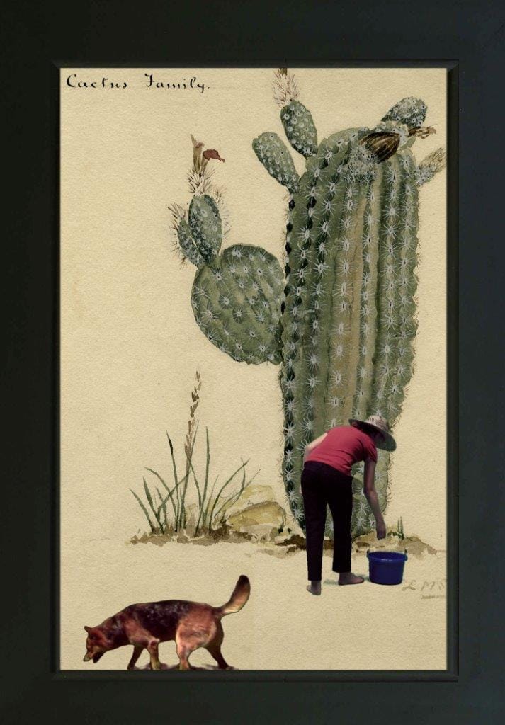 Mary Tsiongas, "The Mercurial Dog Anticipates Her" (2013), LED monitor, 2-minute HD video loop, media player, and wooden frame, 33 x 24 x 4 in. (courtesy the artist and Richard Levy Gallery