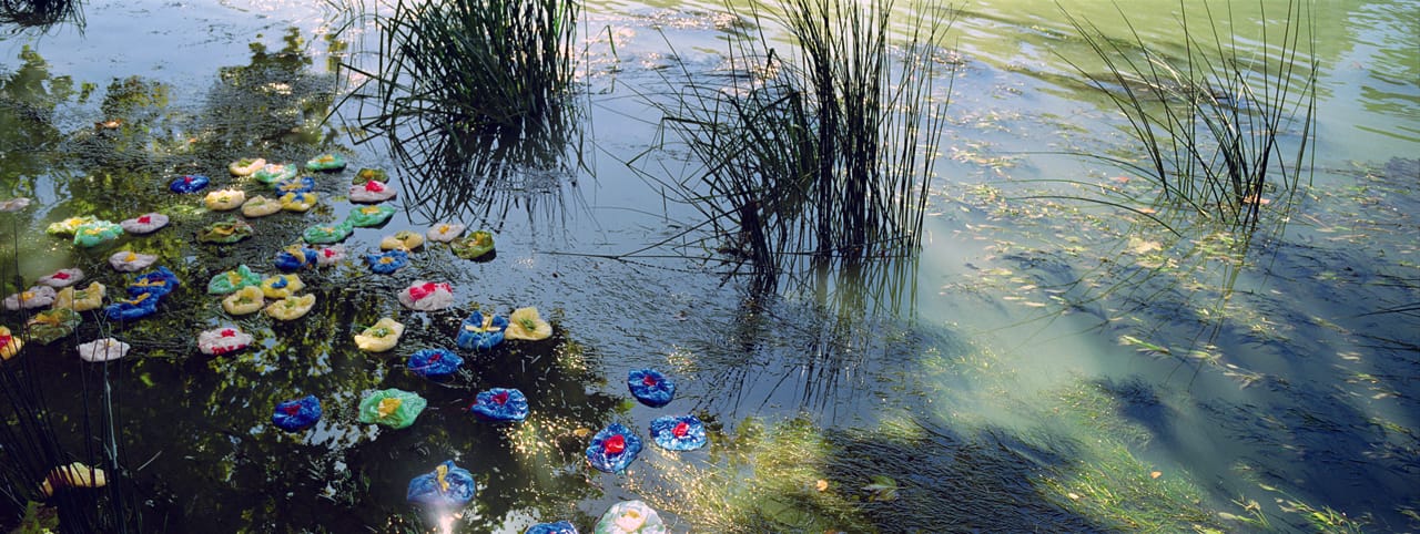 Goldschmied & Chiari, "Nympheas #12" (2007), color print, 49 1/4 x 131 1/8 in. (courtesy of the Tony Podesta Collection)