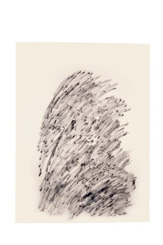 Devendra Banhart, "After 'Haru Spring' by Harold Budd" (2014), ink on paper