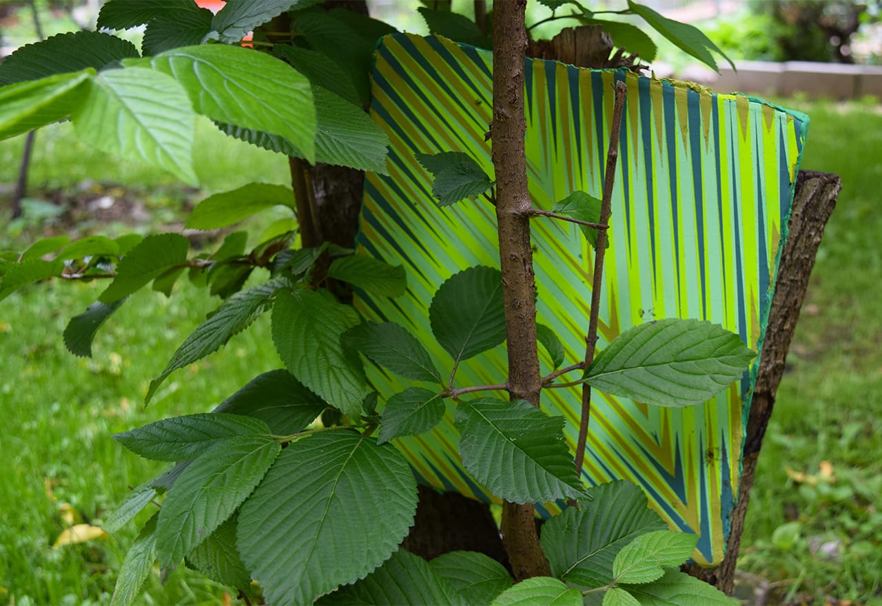 Painting by Palma Blank