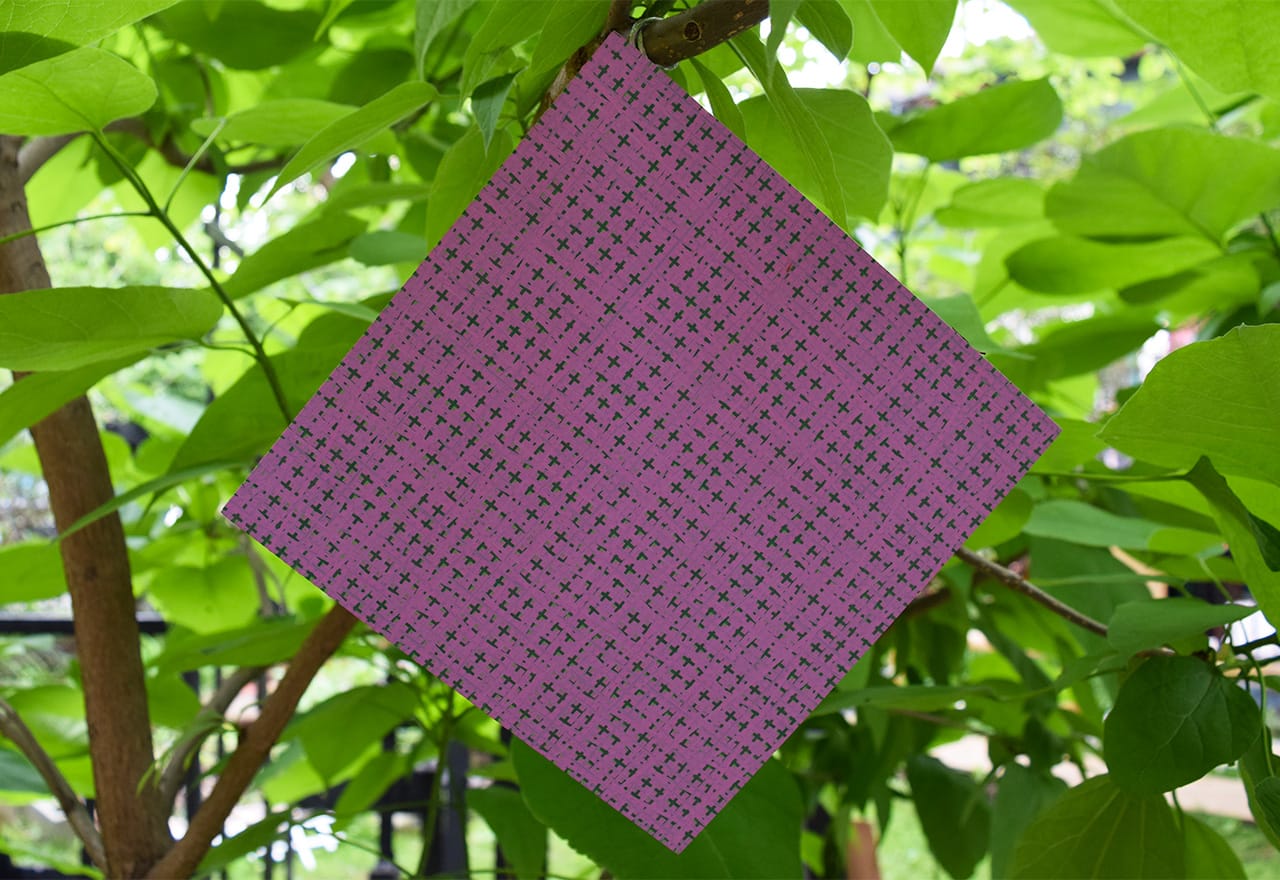 A painting by Rob de Oude