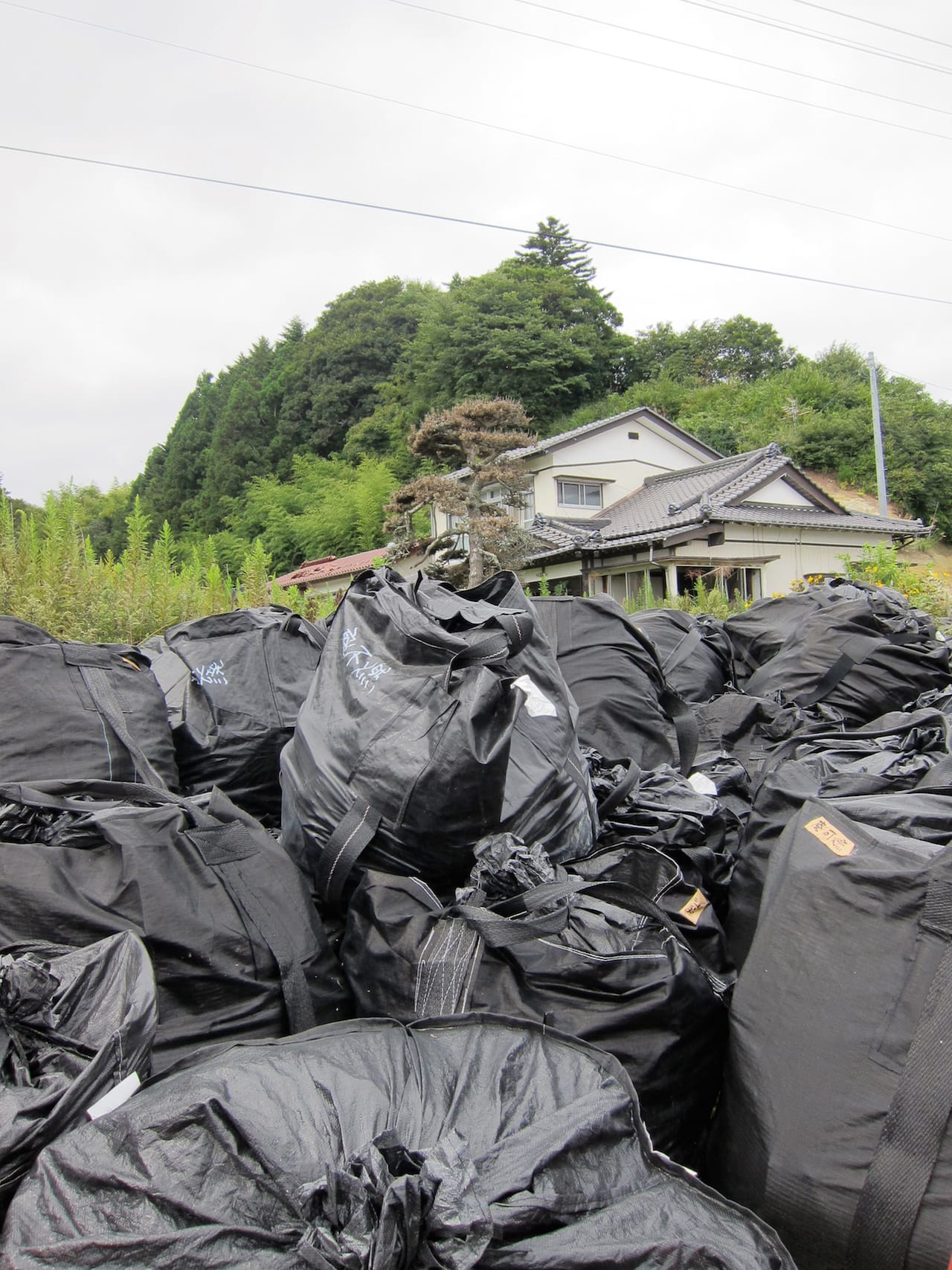 Bags of nuclear waste in the Fukushima Exclusion Zone