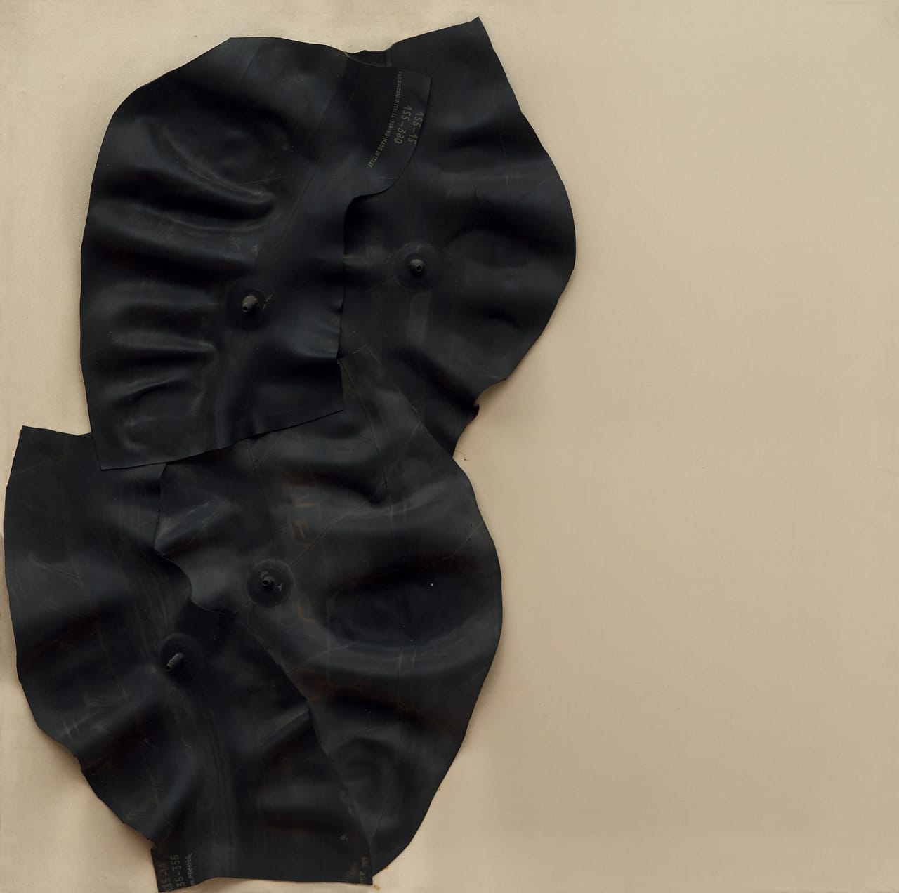 Autorattristatrice, 1970