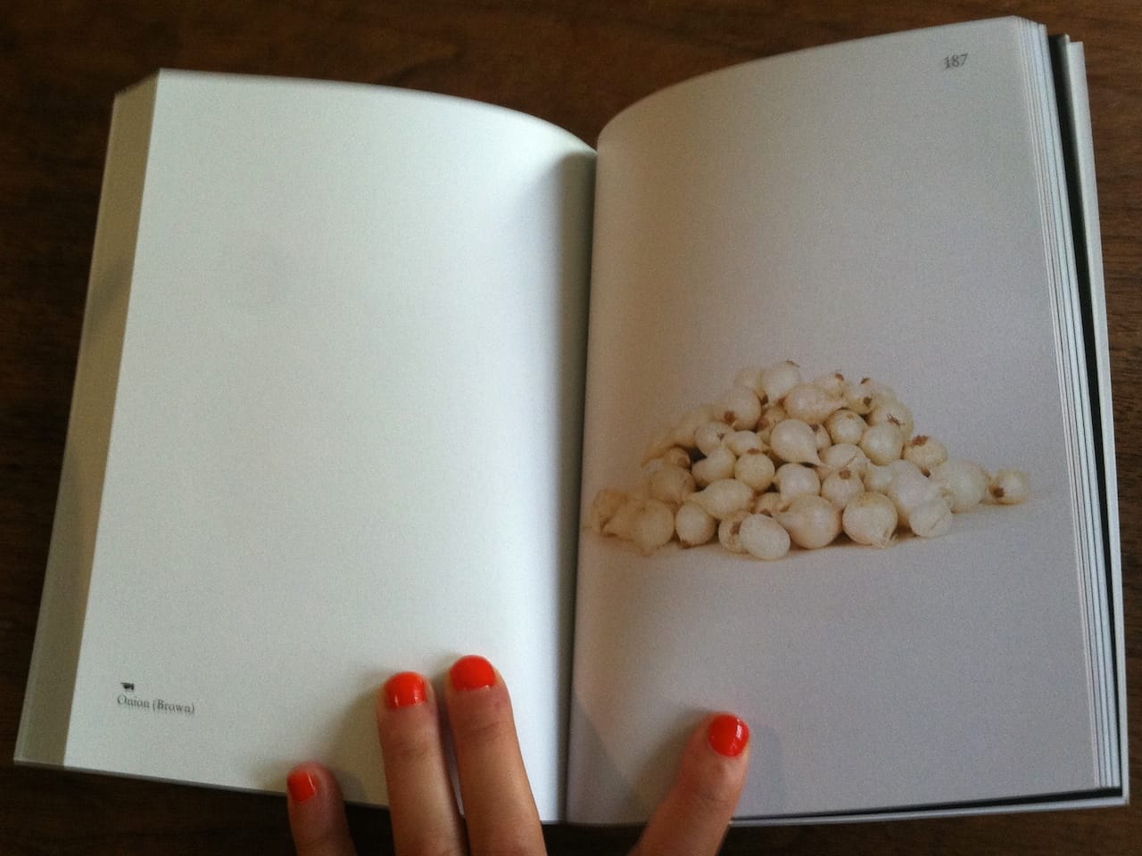 A spread from Elad Lassry's 'On Onions'
