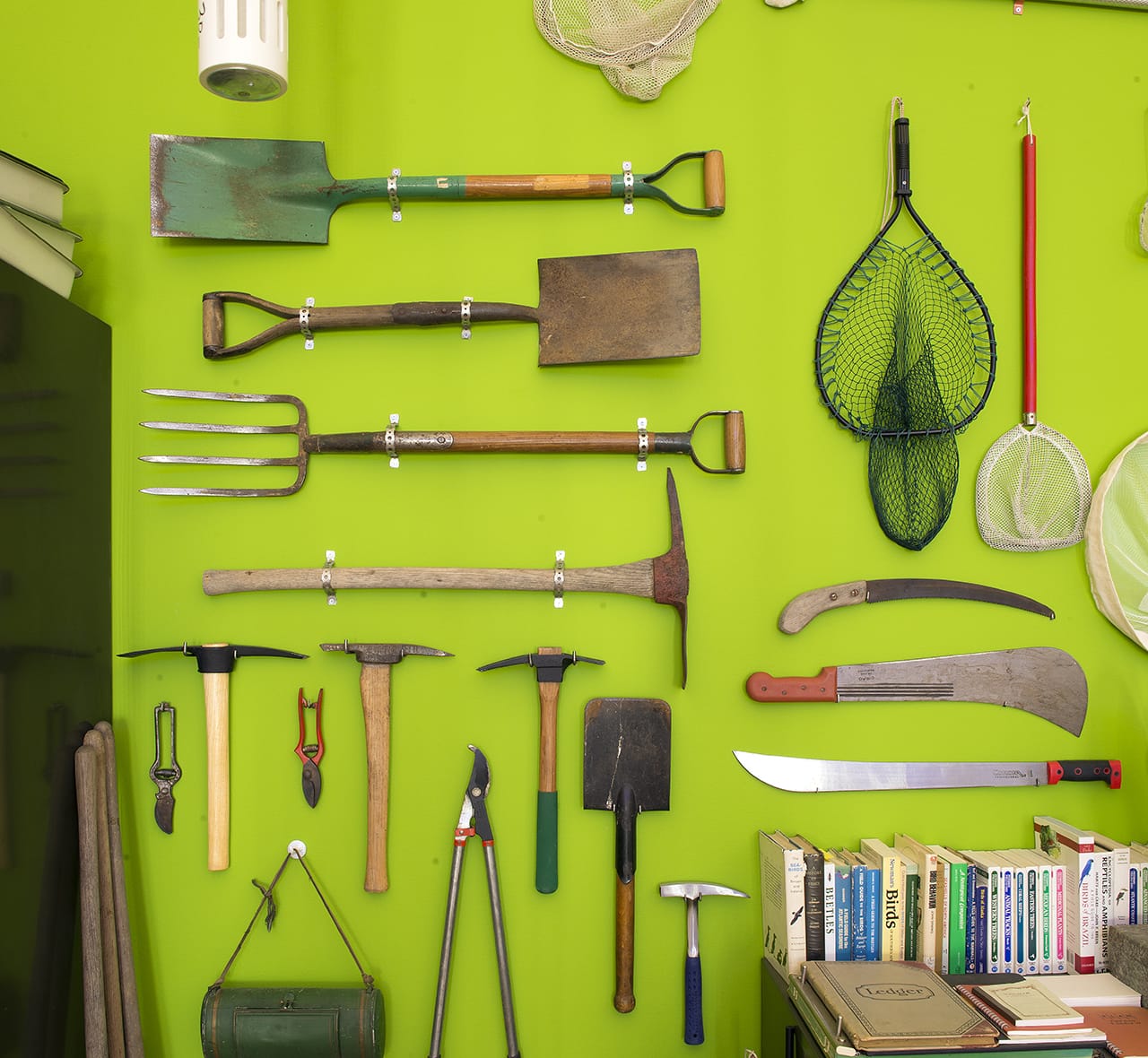 Mark Dion, "The Incomplete Naturalist" (detail, 2015), installation view, commissioned by the Barnes Foundation for 'Mark Dion, Judy Pfaff, Fred Wilson: The Order of Things' exhibition (photo by Rick Echelmeyer, image © The Barnes Foundation) (click to enlarge)