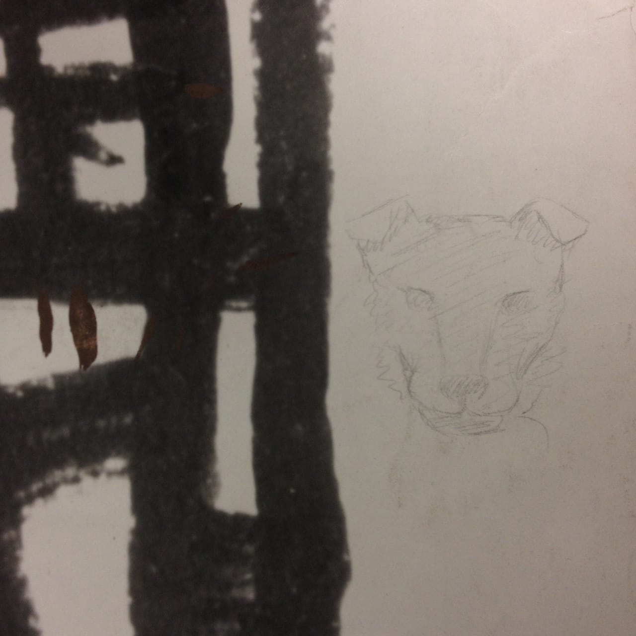 One of the cartoons contained a doodle of a dog