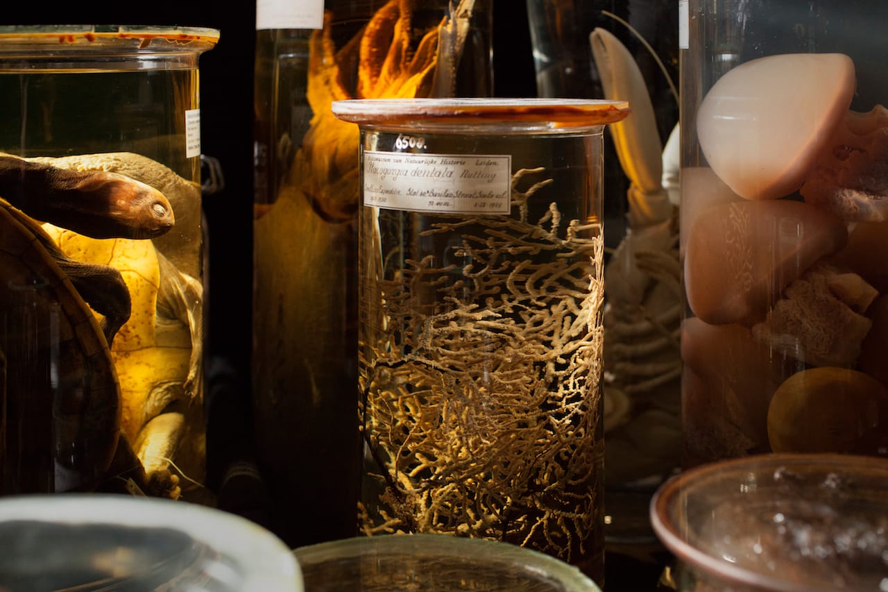 Fiona Tan, "Depot" (2015) (still from the film) (courtesy the artist)