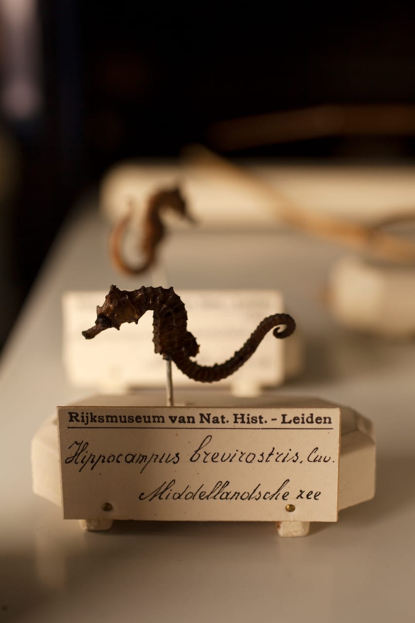 Fiona Tan, "Depot" (2015), installation view at the BALTIC Centre for Contemporary Art (photo by Jonty Wilde, © 2015 BALTIC / Jonty Wilde)