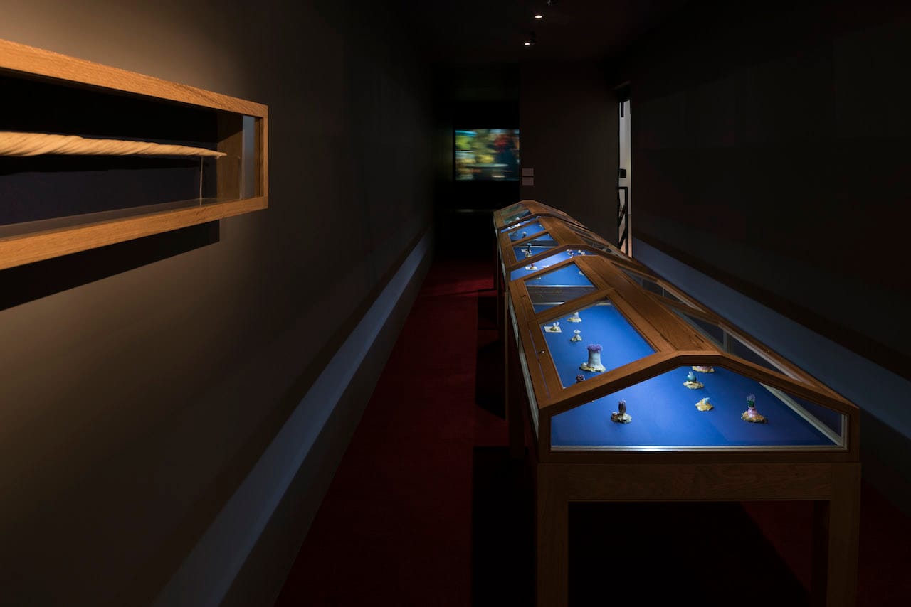 Fiona Tan, "Depot" (2015), installation view at the BALTIC Centre for Contemporary Art (photo by Jonty Wilde, © 2015 BALTIC / Jonty Wilde)