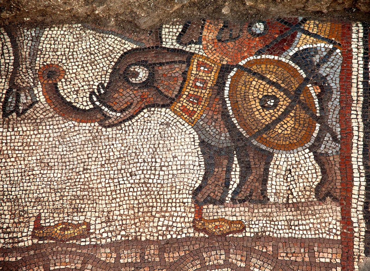 Detail, elephant mosaic, from the Huqoq Exploration Project, Jodi Magness Director.