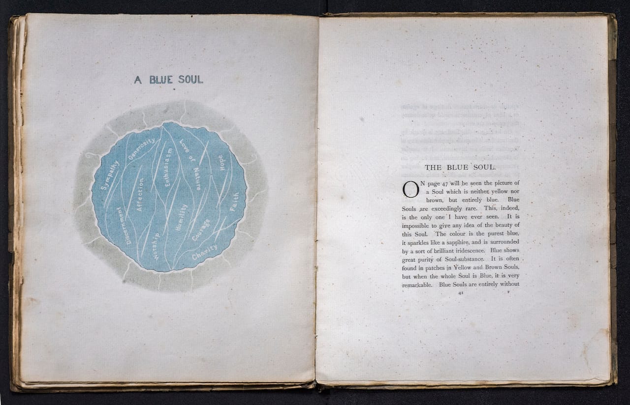 Object Lessons: The Visualisation of Nineteenth-Century Life Sciences