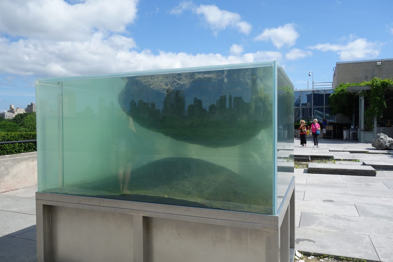 Pierre Huyghe: The Roof Garden Commission