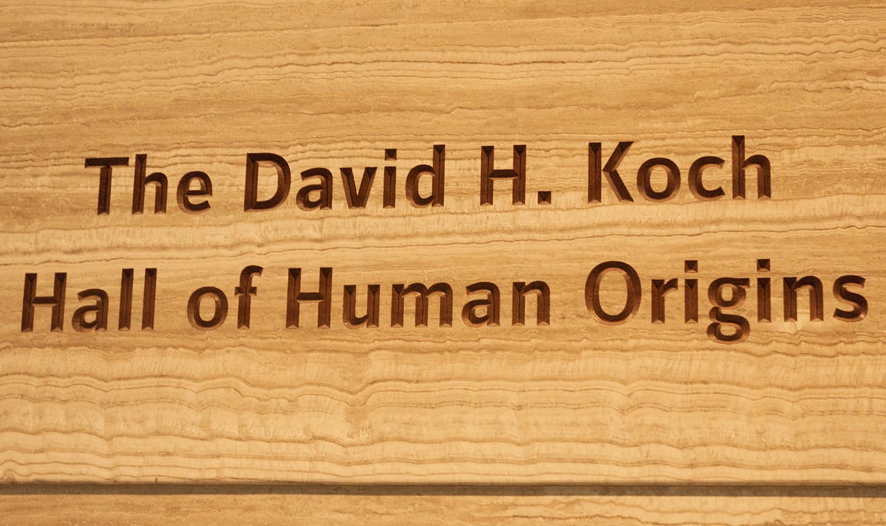 David Koch's name at the Smithsonian National Museum of Natural History (all photos by Brendan Polmer for Hyperallergic)