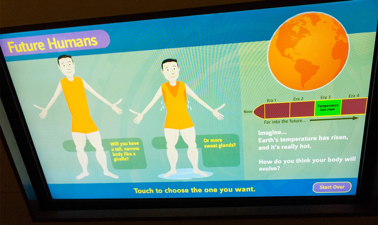 An interactive display in the Hall of Human Origins at the Smithsonian National Museum of Natural History offers possible visualizations of how humans will adapt to climate change.