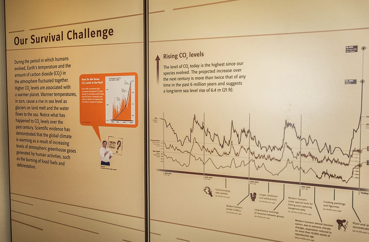 A display inside the Hall of Human Origins at the Smithsonian National Museum of Natural History