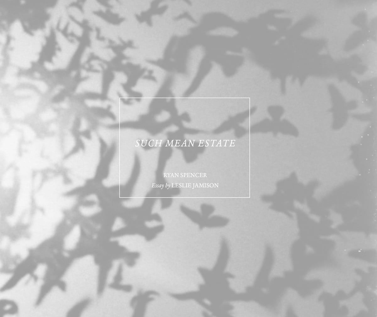 Cover of 'Such Mean Estates'