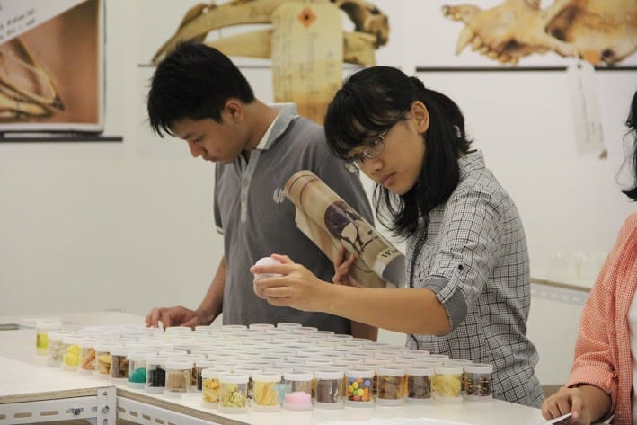 Exhibition view, (photograph by Etienne Turpin).