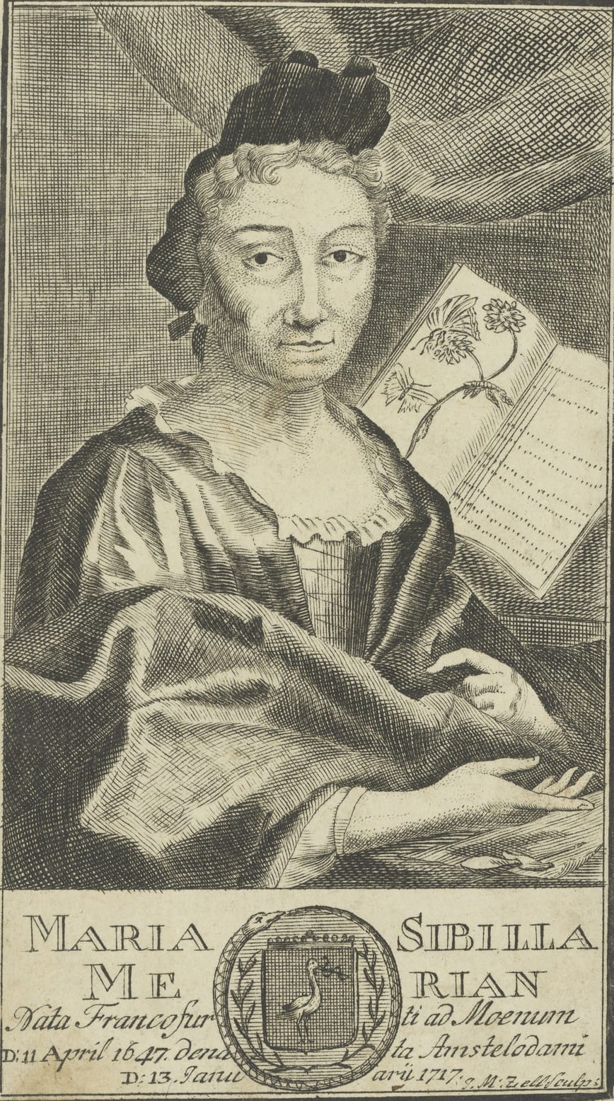 Portrait of Maria Sibylla Merian (via Leipzig University Library/Flickr)