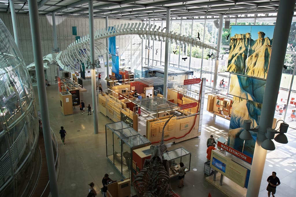 Climate change exhibition in 2009 at the California Academy of Sciences (photo by John Loo/Flickr)