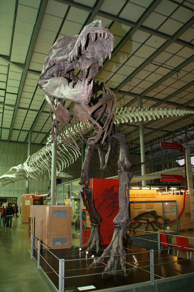 T-rex by the climate change exhibition at the California Academy of Sciences in 2009 (photo by Nate Kharrl/Flickr)