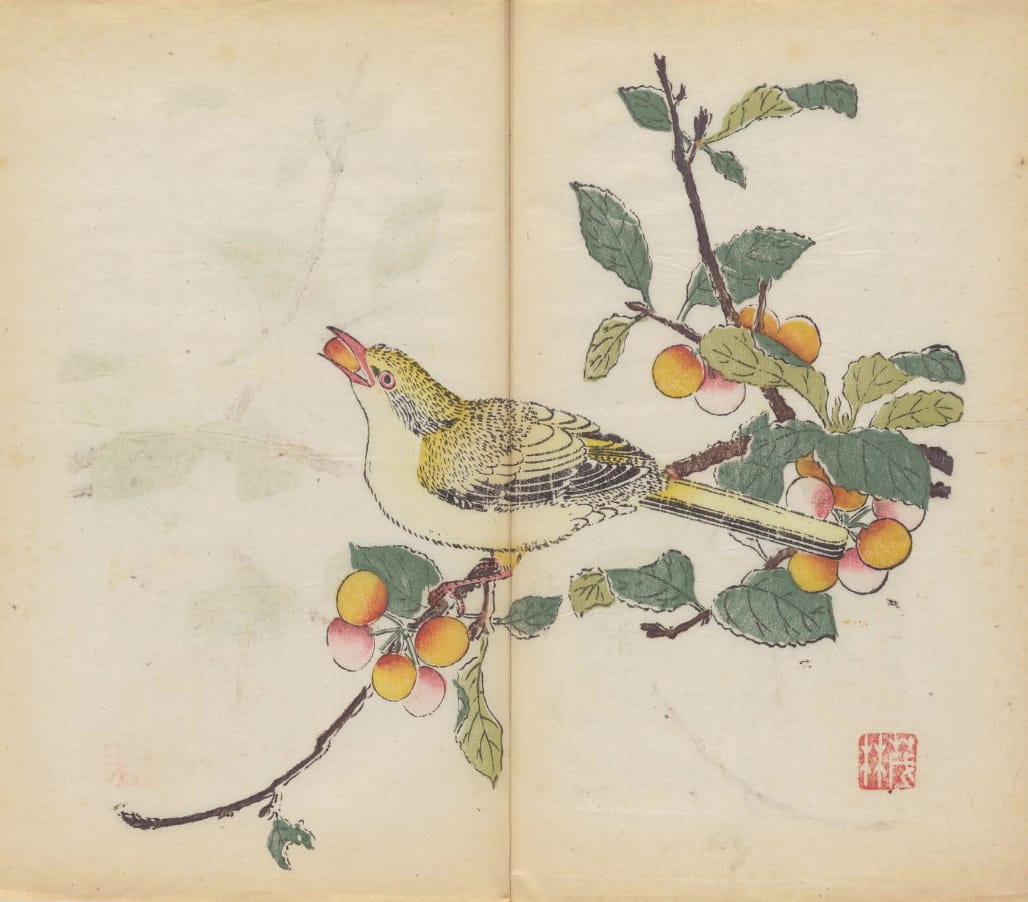 'Shi zhu zhai shu hua pu' (Chinese, 1633), polychrome xylographic print (courtesy Cambridge University Library)