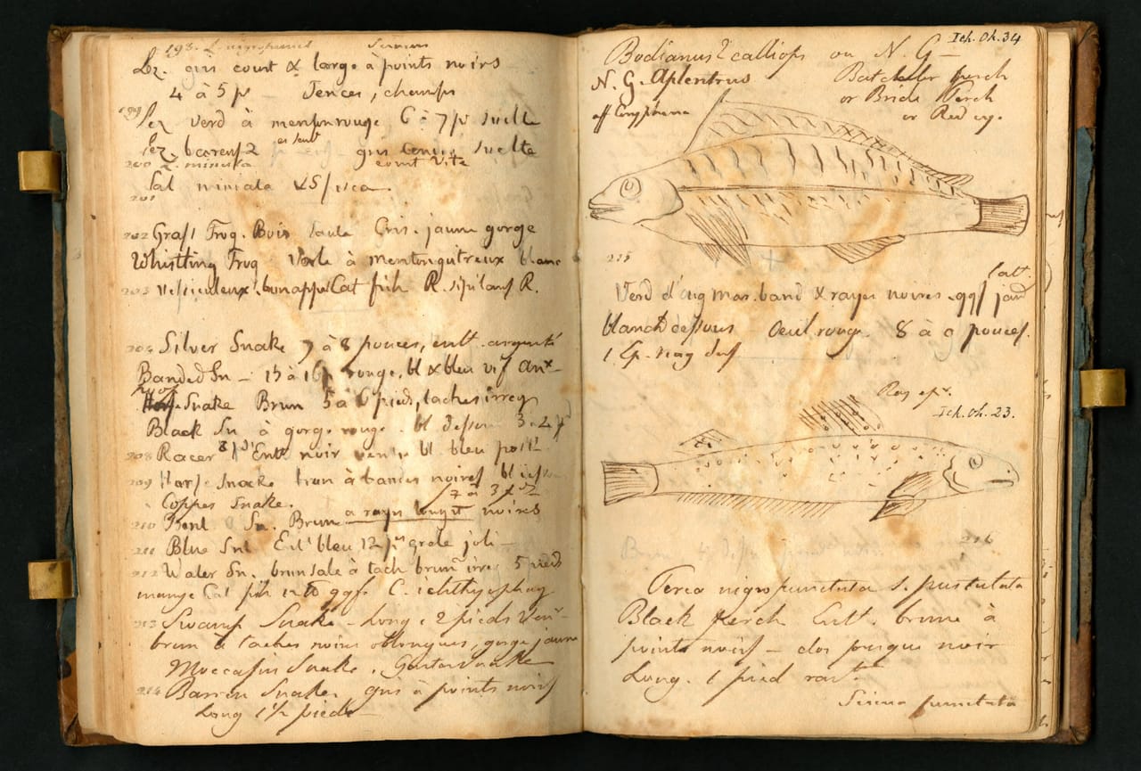 Notebook kept by Constantine Samuel Rafinesque on a trip from Philadelphia to Kentucky, 1818 (courtesy the Biodiversity Heritage Library, digitized by Smithsonian Institution Archives)