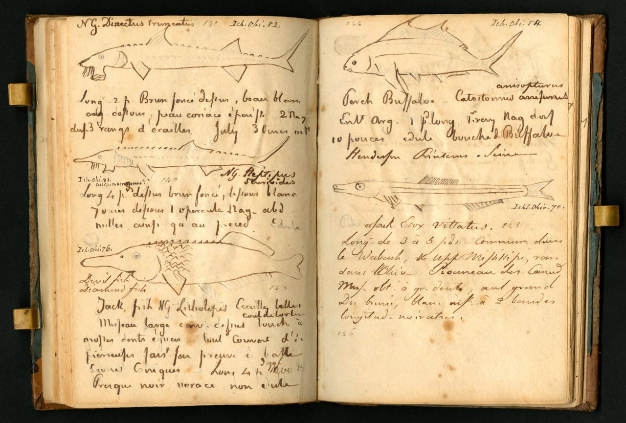 Notebook kept by Constantine Samuel Rafinesque on a trip from Philadelphia to Kentucky, 1818 (courtesy the Biodiversity Heritage Library, digitized by Smithsonian Institution Archives)