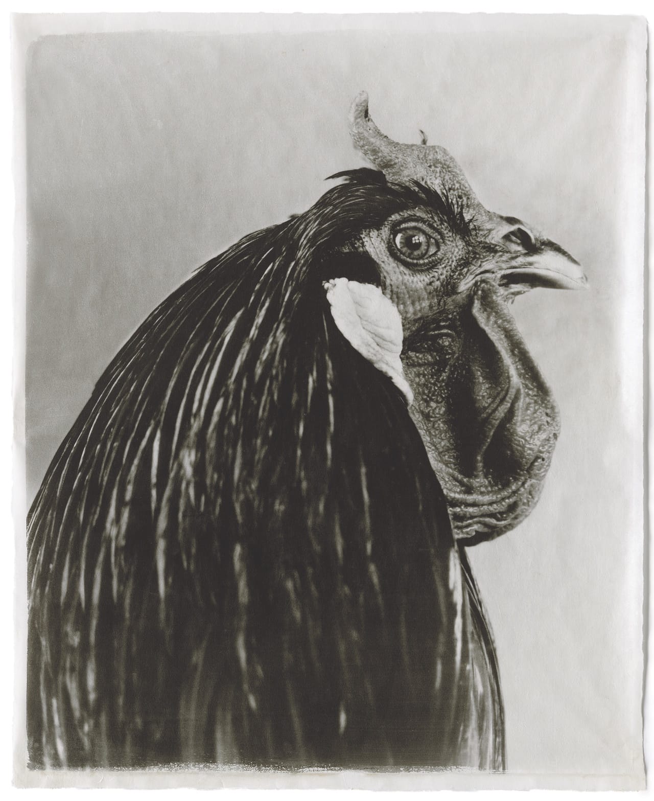 I-2 Black #16, 2006 Kopie