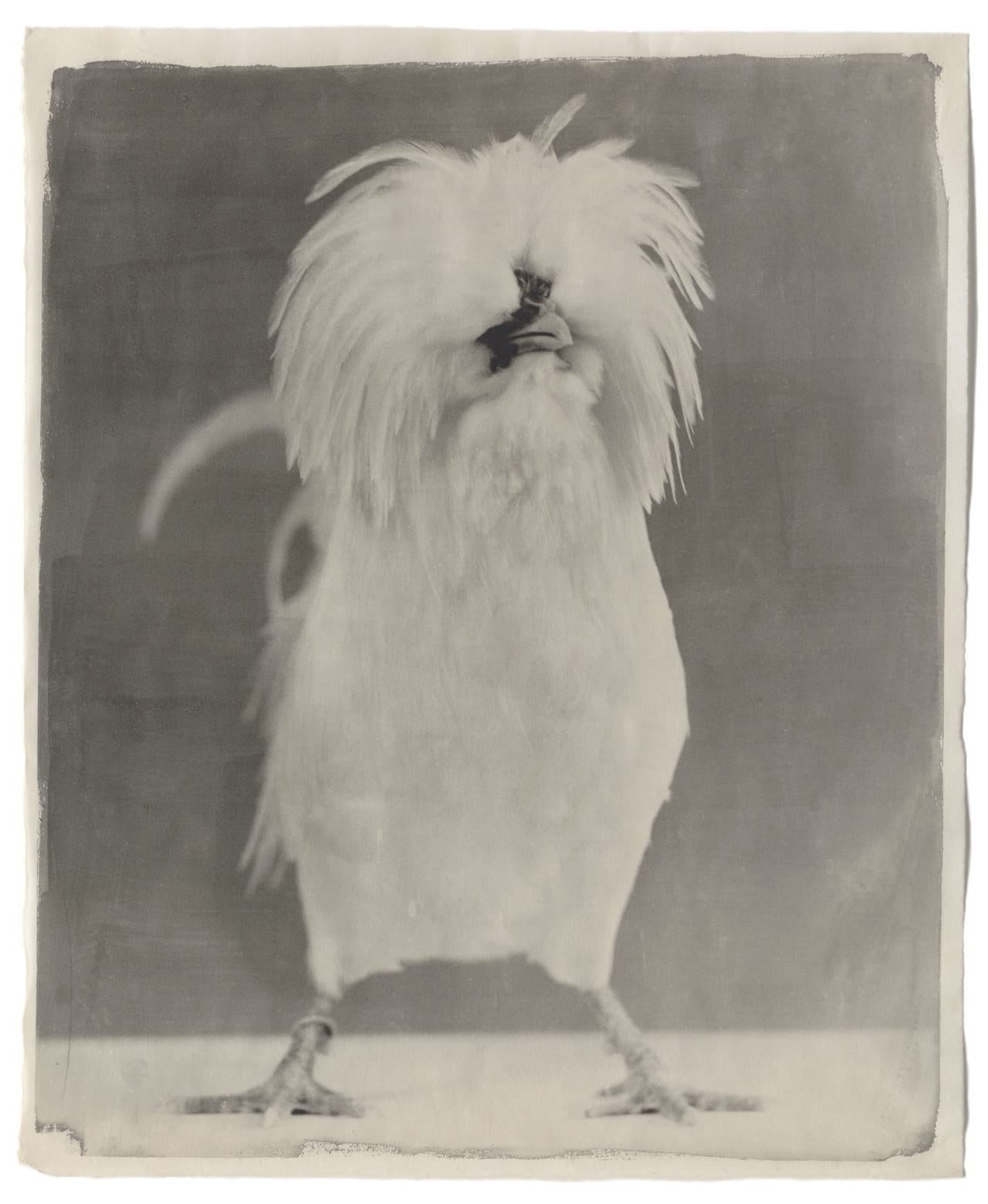 II-8 White #15, 2005 Kopie