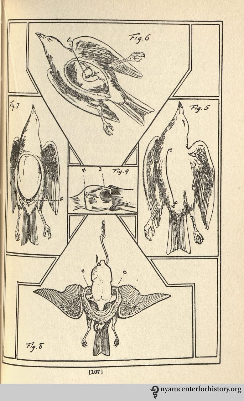 'The camper's own book : a handy volume for devotees of tent and trail' by George Sands Bryan (1912)