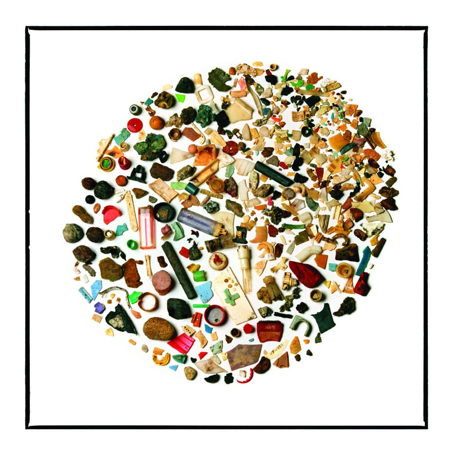 Susan Middleton, "Shed Bird Stomach Contents," digital print (courtesy the artist)