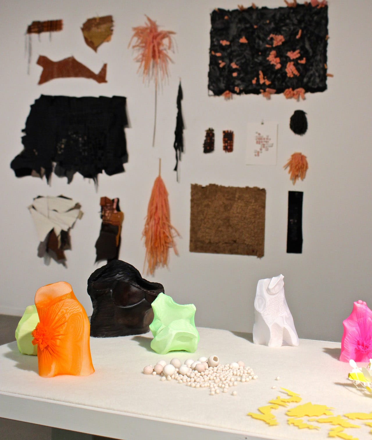 Works by Lynn Bennett-Carpenter in the foreground with Carrie Dickason's wall installation in the background