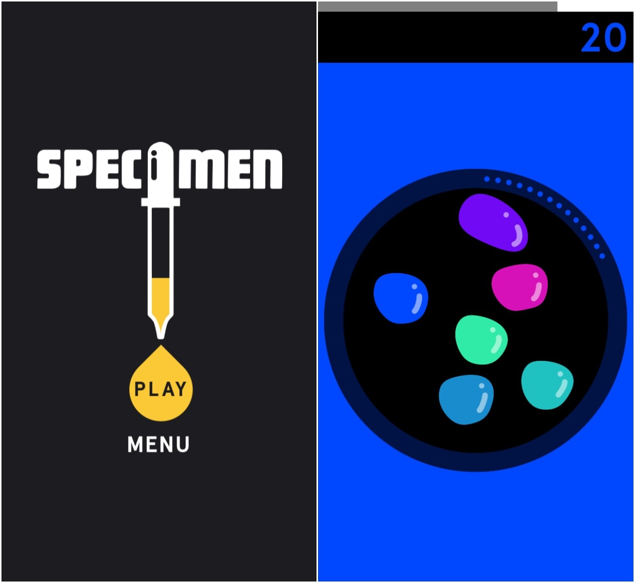 Scenes from 'Specimen' (screenshots by the author for Hyperallergic)