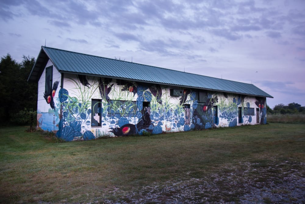 Mural at the Pickering Creek Audubon Sanctuary in Easton, Maryland (photo by Jessica Stewart)
