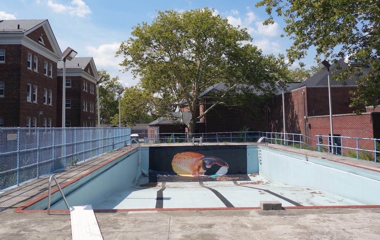 'Visitors' exhibition on Governors Island