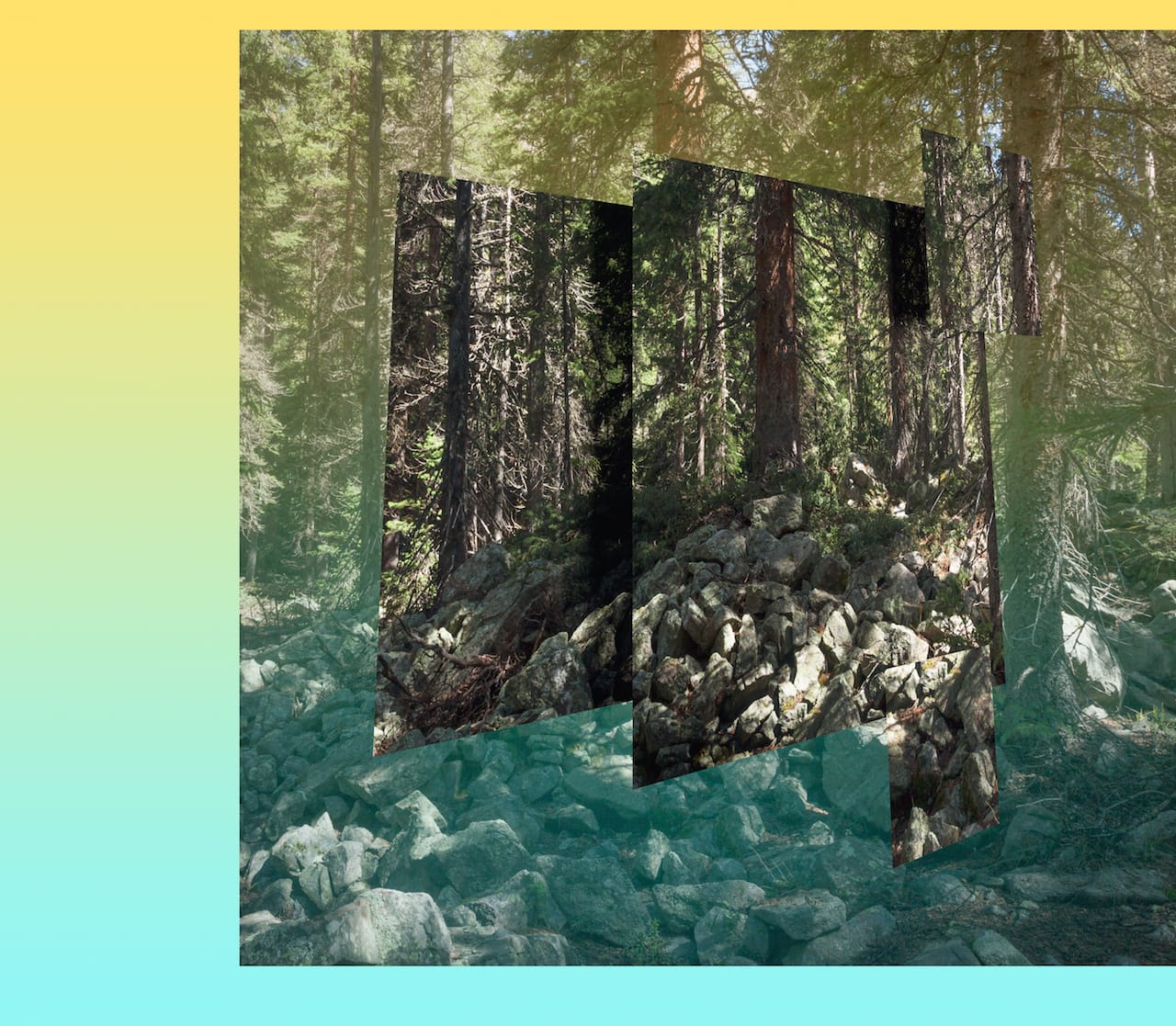 Mark Dorf, "Emergent #14" (2014)