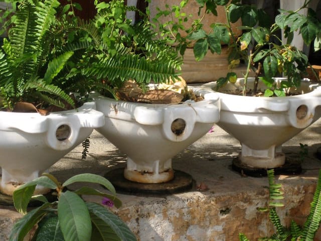 People like Tonie Atkinson are finding old toilets make great garden planters (Image via Flickr/southbeachcars)