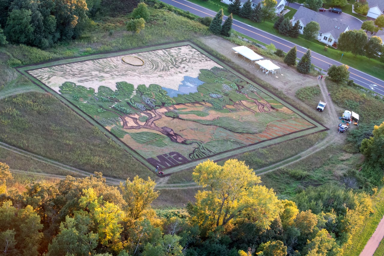 Stan Herd's crop art from above