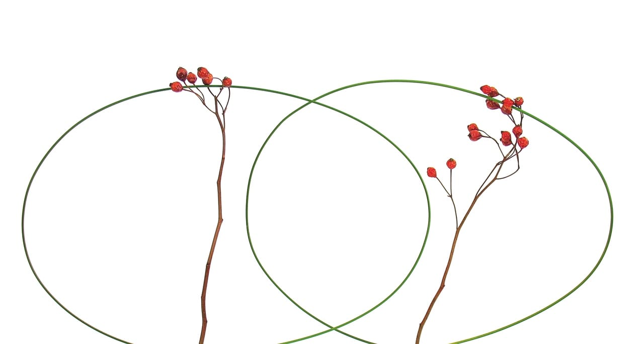 flora art4