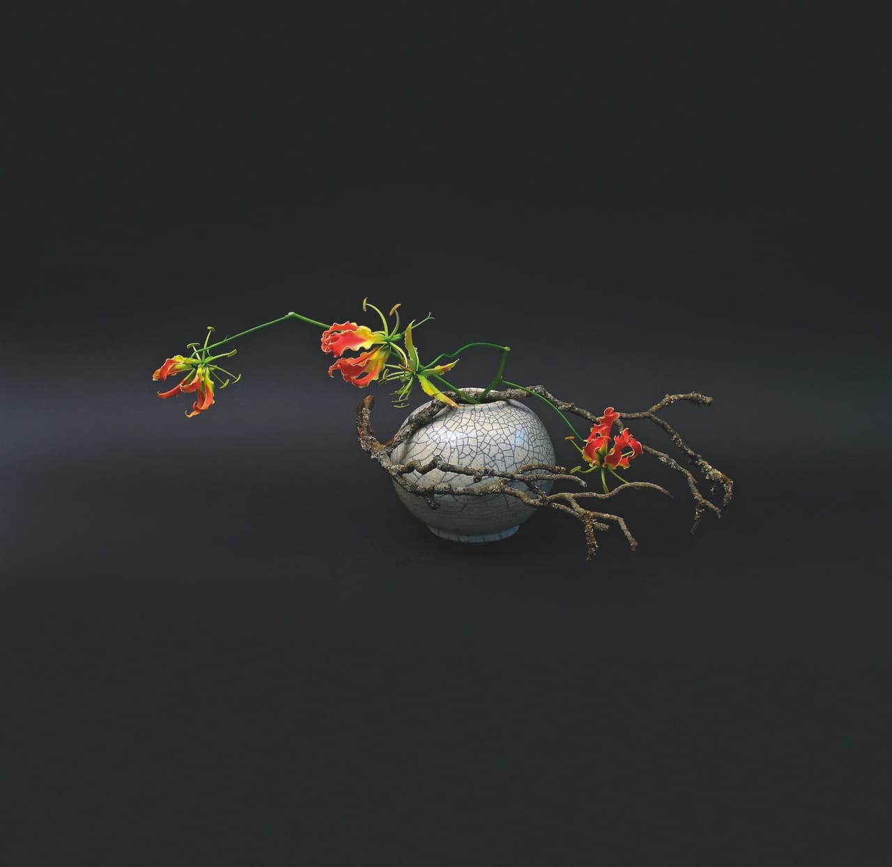 flora art5