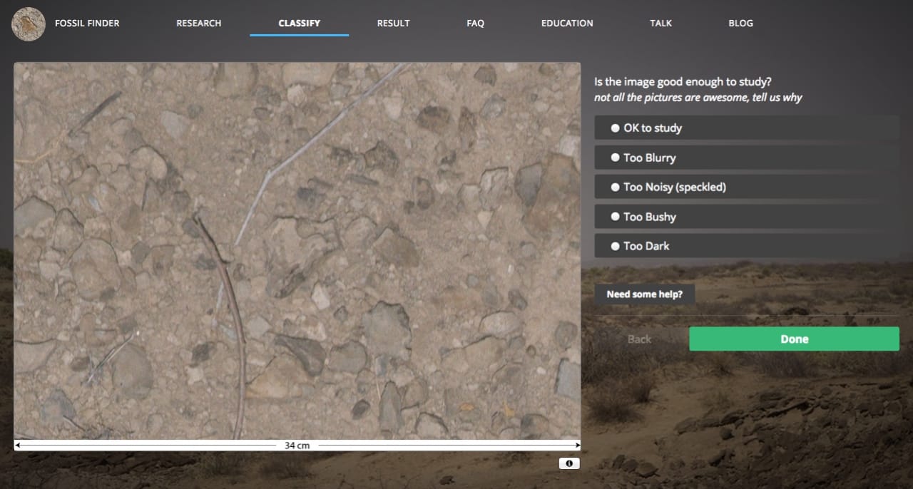 Screenshot from FossilFinder