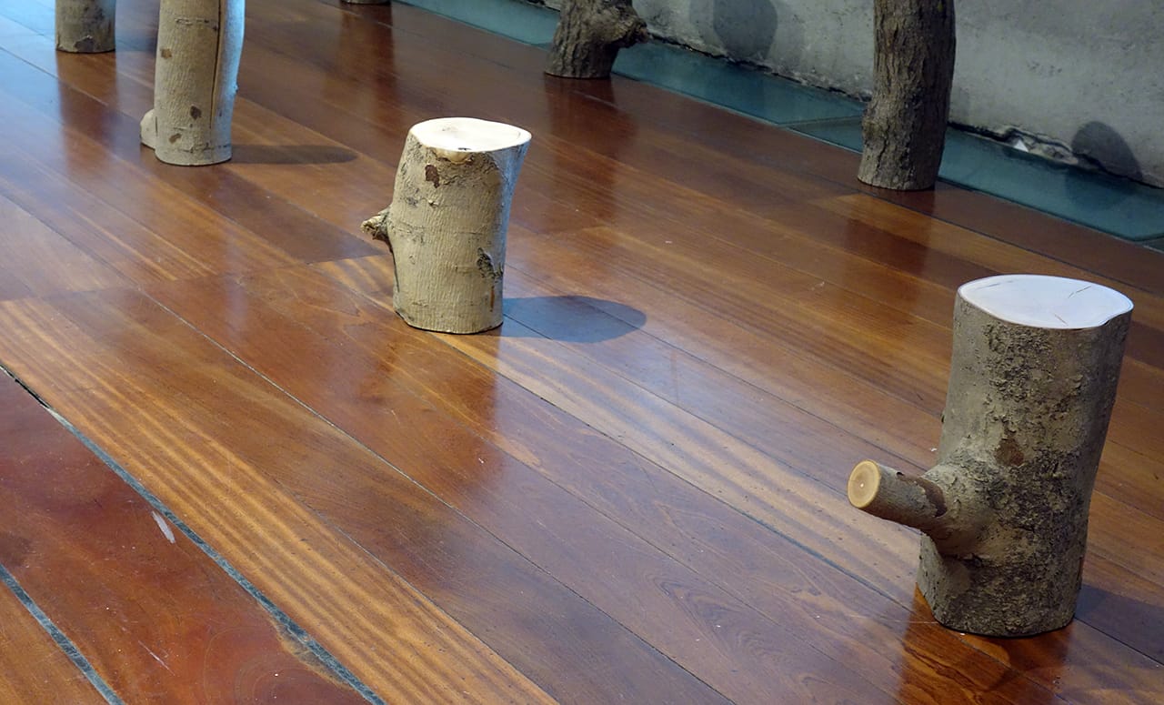 Max Lamb 'My Grandfather's Tree' at Somerset House