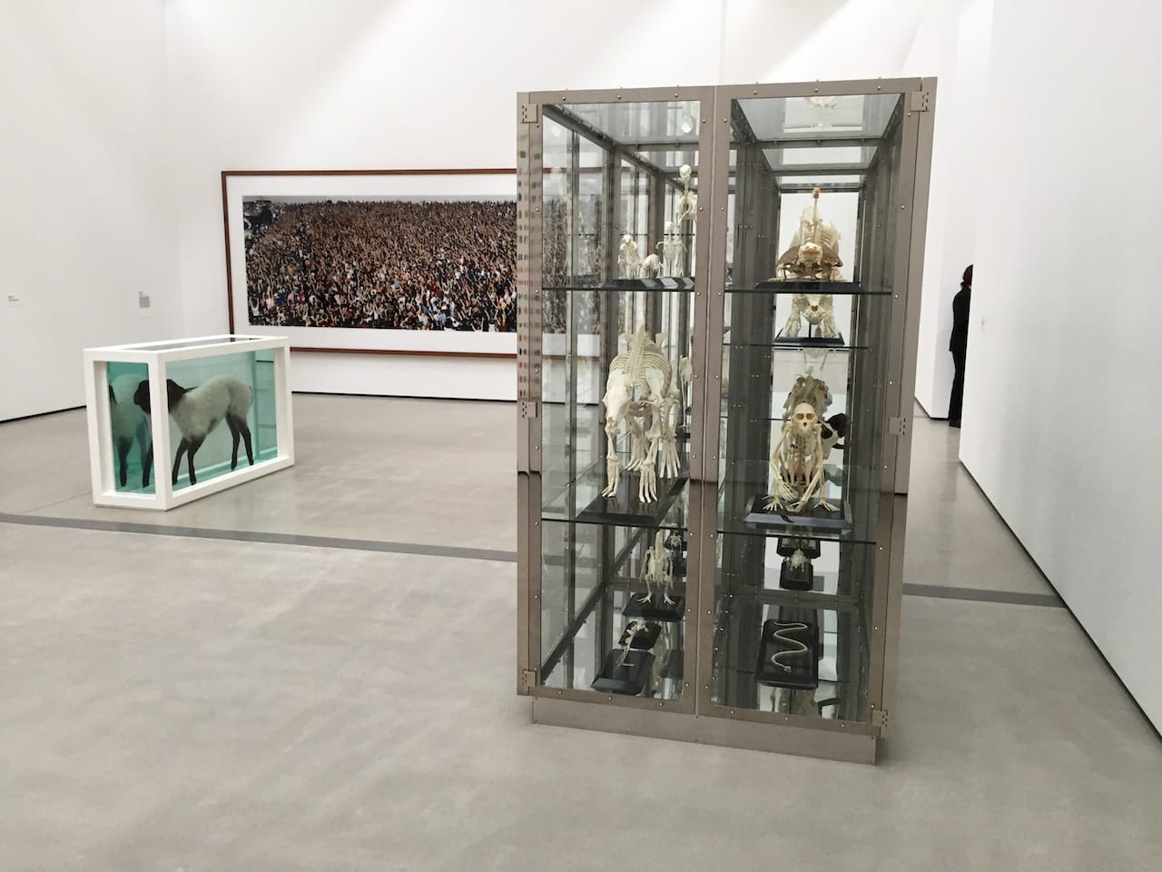 Damien Hirst and Andreas Gursky