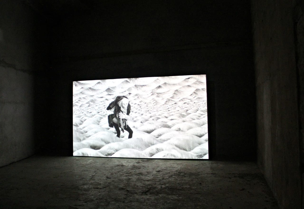 Mercedes Mühleisen, “The Gnomic Puddle”