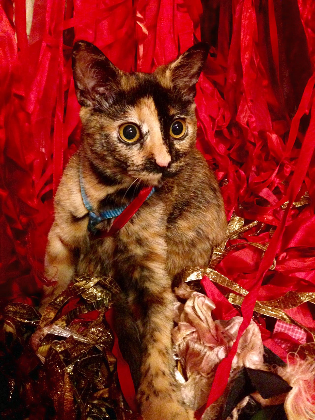 (all photos by the author for Hyperallergic)