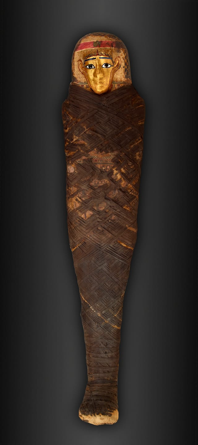 The Gilded Lady mummy, intact since Roman-era Egypt (30 BCE – AD 395). The interior of the mummy was finally revealed in 2011 with CT scanning. (© 2015 The Field Museum, photo by John Weinstein)